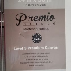 Premio Art Canvases 2 Pk