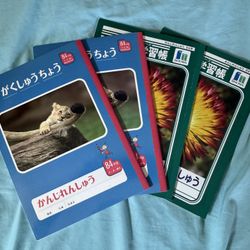 Japanese Kanji Practice Notebooks + Bonus Renrakuchō – Lot of 5