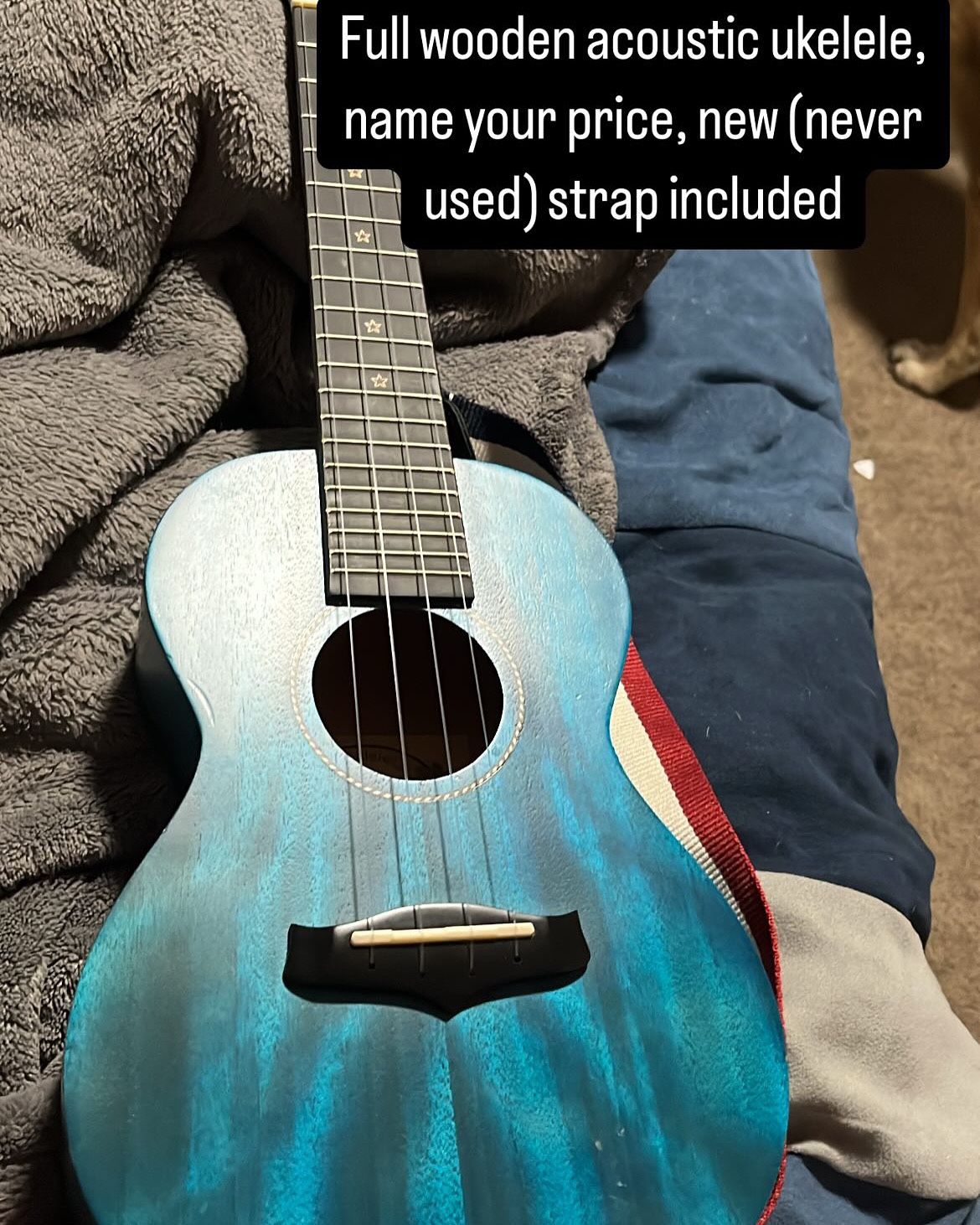 Blue Ukulele (price Negotiable)