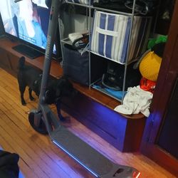 Phantom Gogo Electric Scooter 