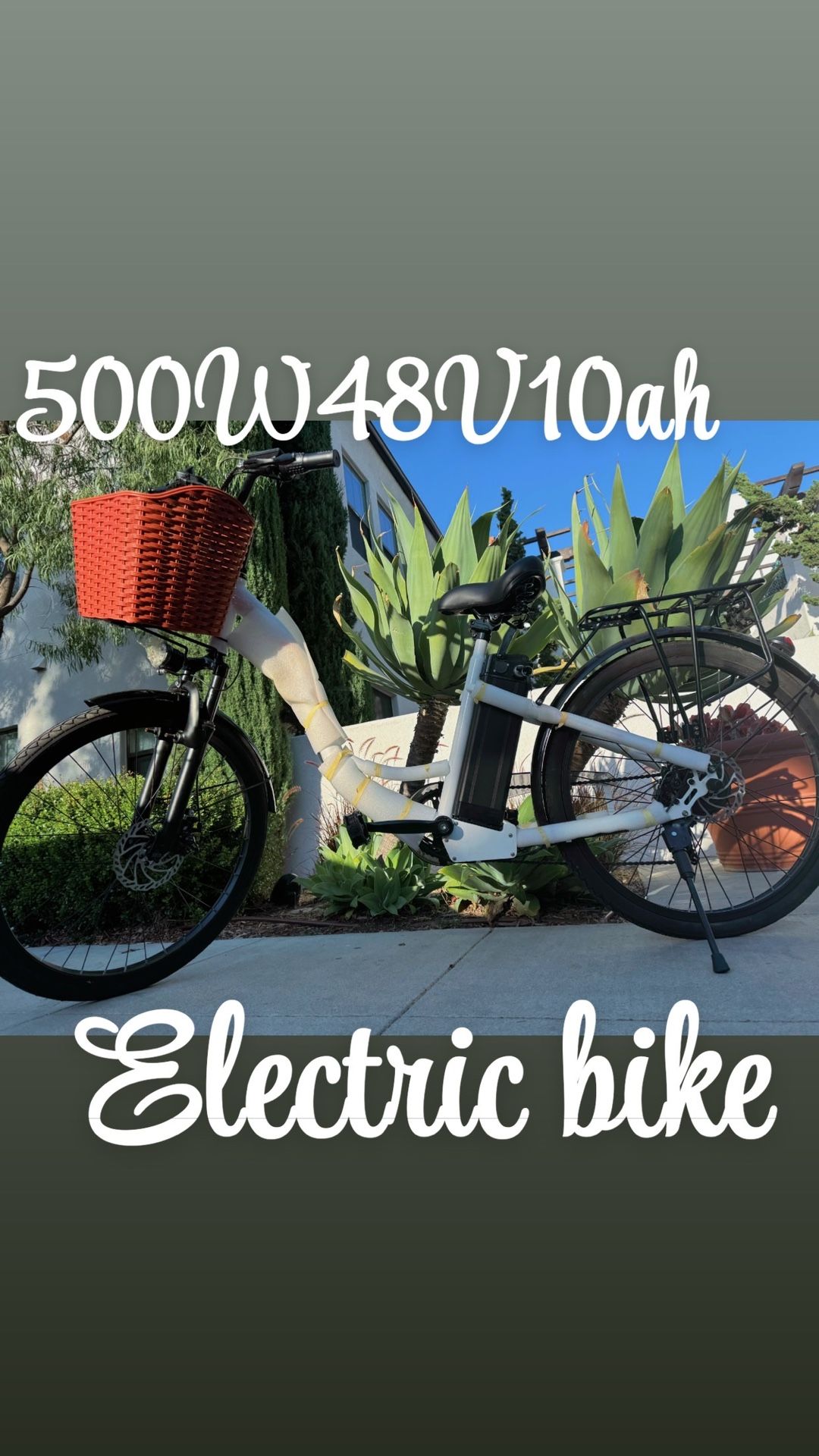 Electric Bike