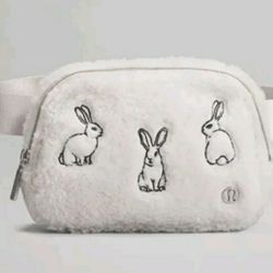 Lululemon Special Bag New