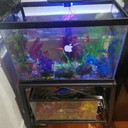  Fish Tank And Stand And Supply 