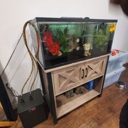 Fish Tank Really Good 