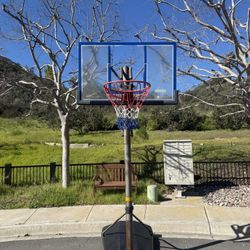 FREE! 10 Foot adjustable Lifetime Basketball Hoop