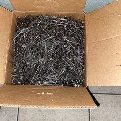 08D Gun Nails 2 1/2 “X .131”