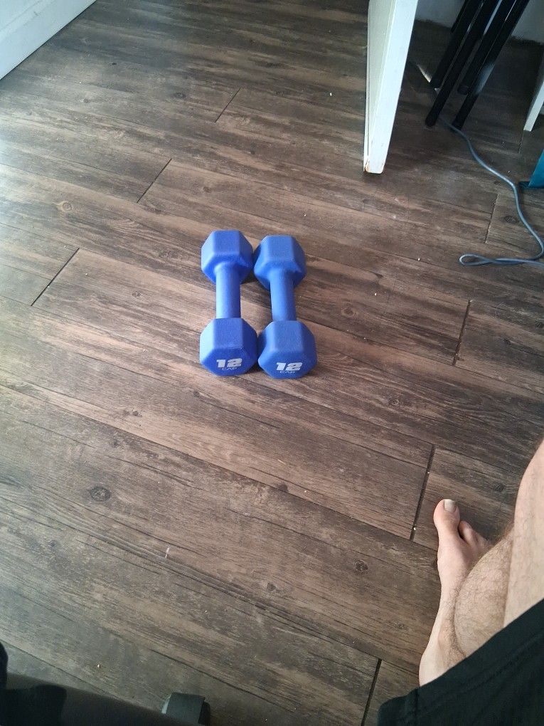 12 Pound Weights