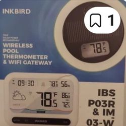 Ink Bird Pool Thermometer  With Wifi