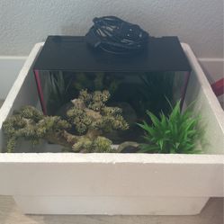Fish Tank