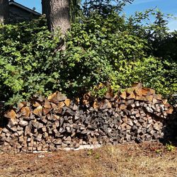 Fir Hard  Split Seasoned Firewood 