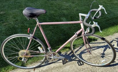Tall Raleigh Technium Road Bike Completely Tuned Up