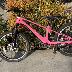 Kids Mountain Bike (20” Wheels)  - Front Suspension/Disc Brakes