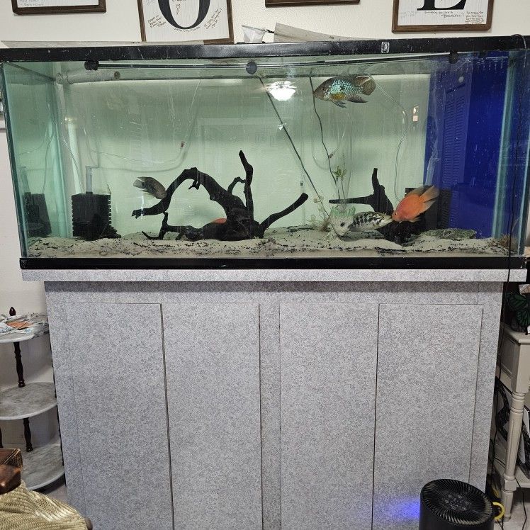 125 Gallon Fish Tank