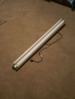 120v T8 (2) Lamp Fixture