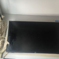 65” Vizio TV 
