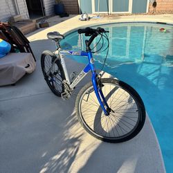 Trek 3500 silver/blue mountain bike