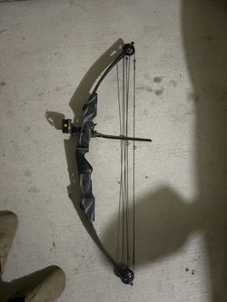 Compound bow with 5pin and d loop