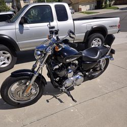 2011 Harley Davidson 1200  Custom sportster