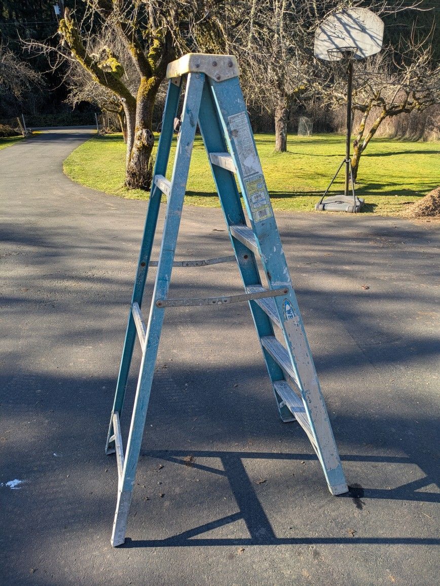 6-Ft Werner Ladder 250 Lb Capacity