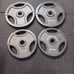 Fitness Gear Olympic Weights