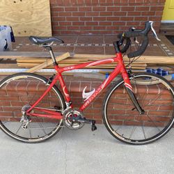 Giant Road Bike 