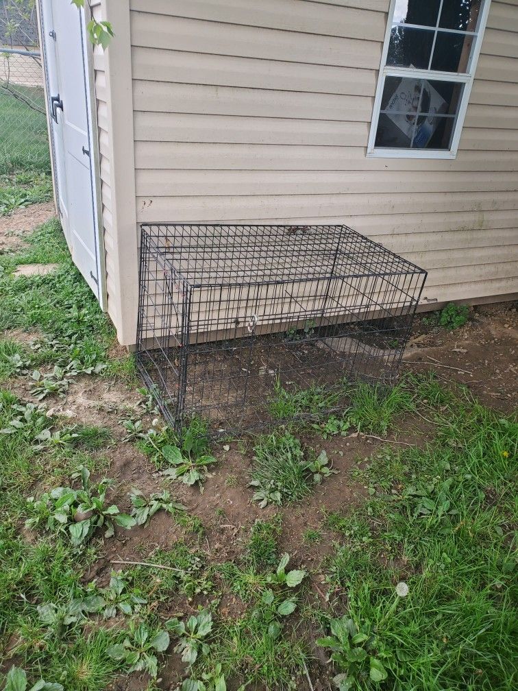 X Large Dog Cage