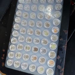 (4) Luxbird LED Aquarium Panels $50each