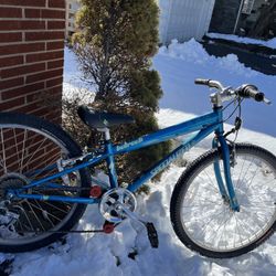 Mountain Bike ( Like New )