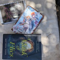 Ainme Novel Books