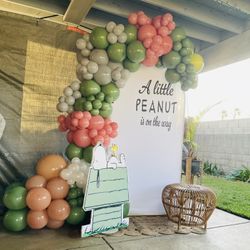 Snoopy Baby Shower Backdrop