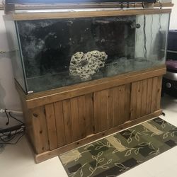 210 Glass Aquarium / Drilled Saltwater COMPLETE Set Up!!!!!