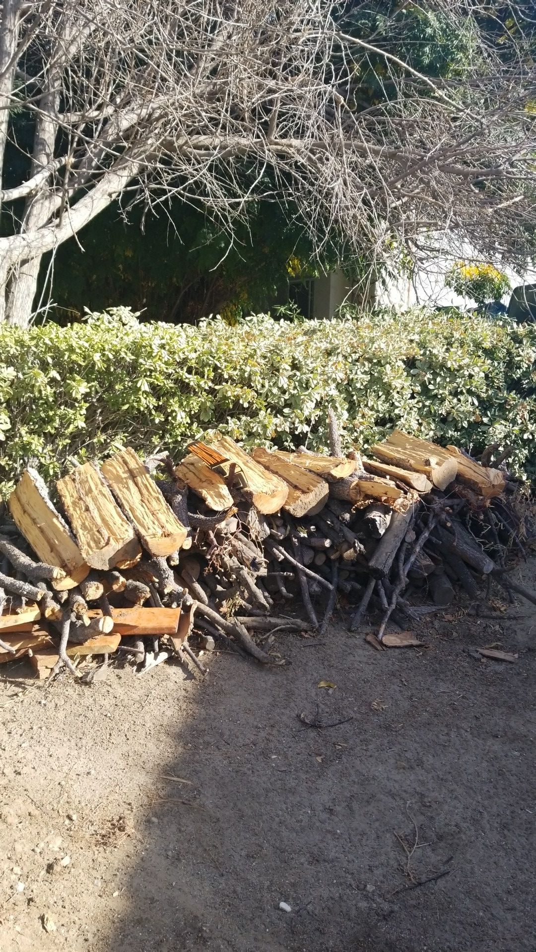 WOOD FOR SALE
