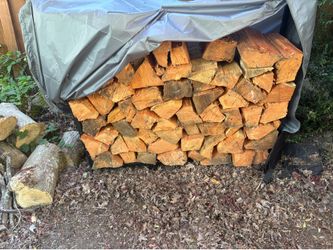 Firewood- stand and cover