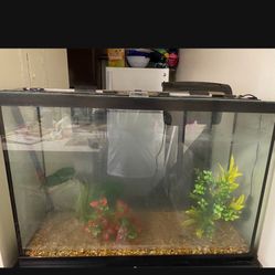 Fish Tank 