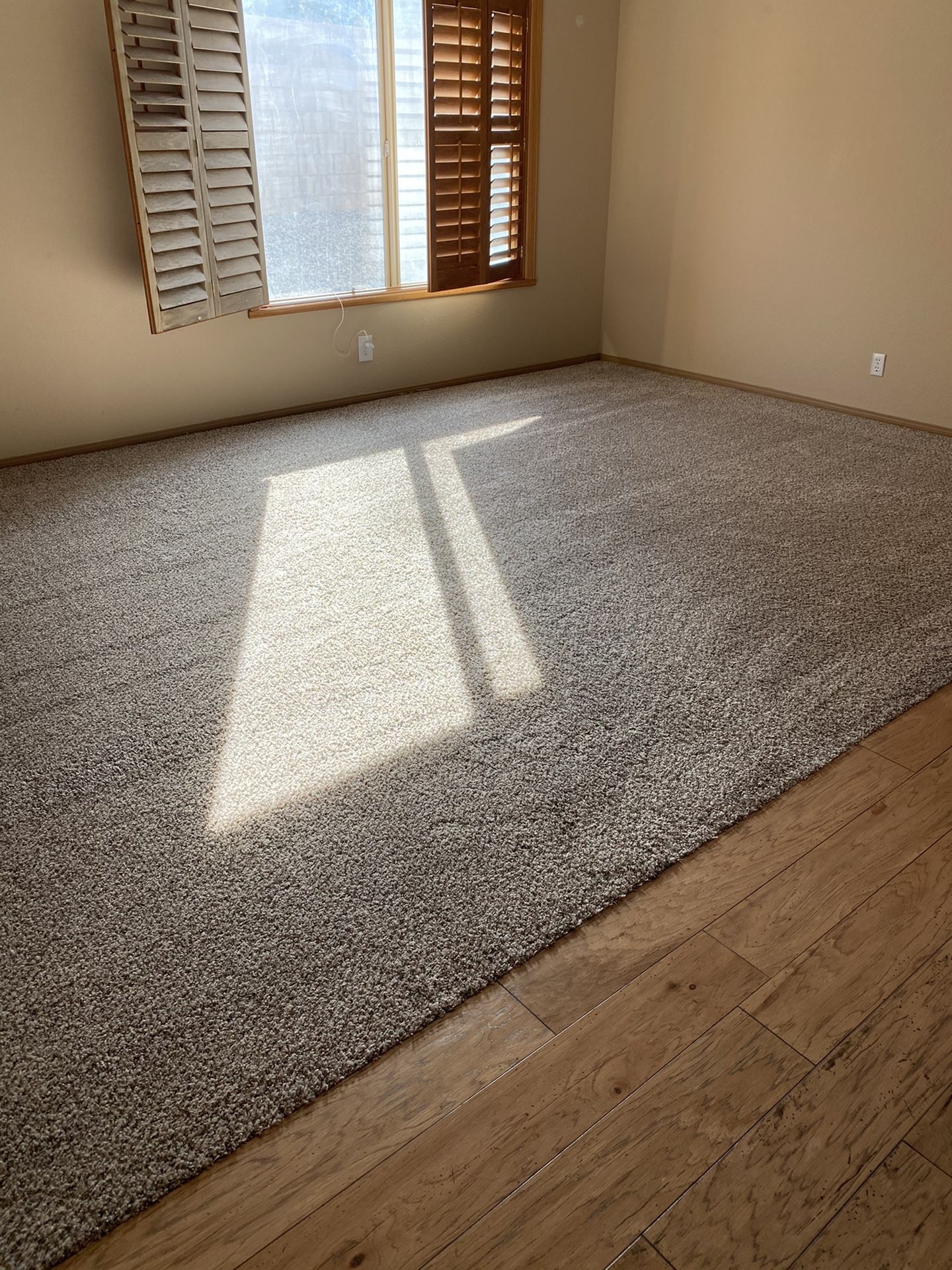 Carpet