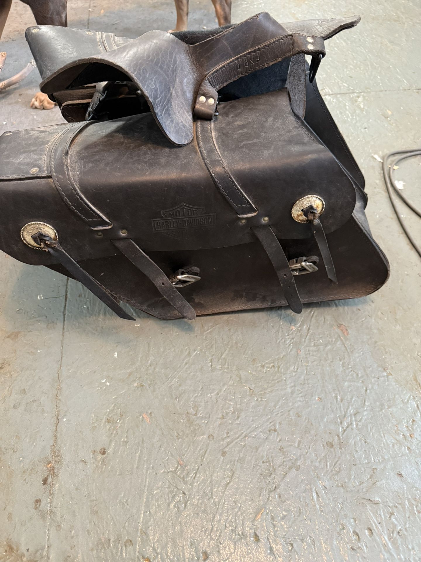 Saddle Bags