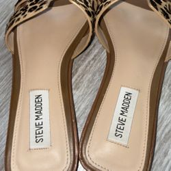 Sandals Steve Madden