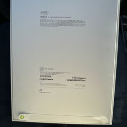 iPad Pro 13