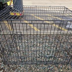 Dog Cage