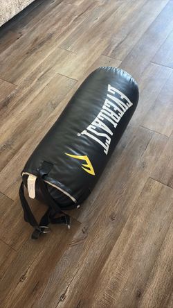 Everlast Punching Bag