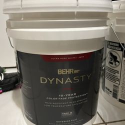 5 gal. Ultra Pure White Flat Exterior Stain Blocking Paint and Primer