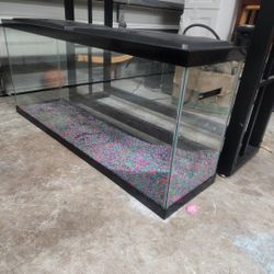 55 Gallon Fish Tank 