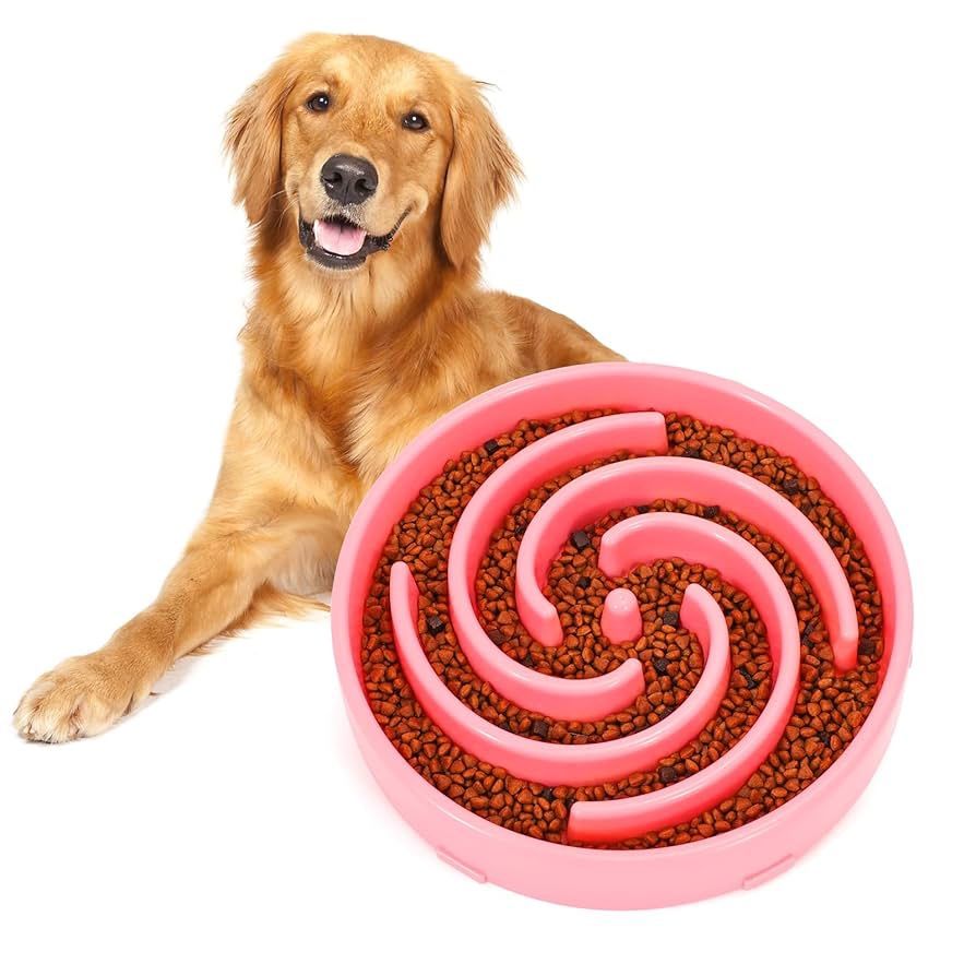 WHIPPY: Dog Bowl