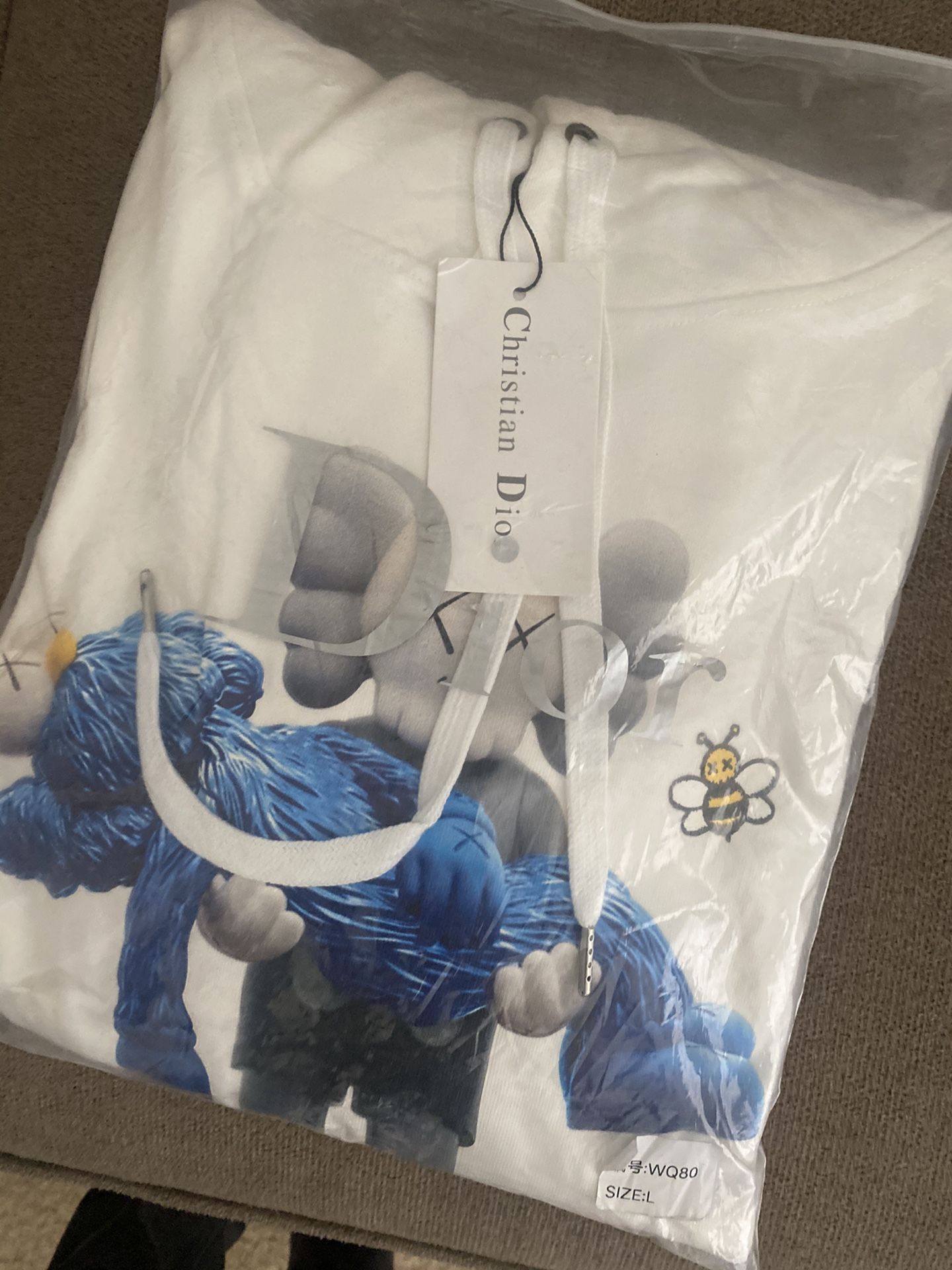 Christian Dior x KAWS HOODIE