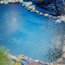 Fish Rescue Fish Tank Mr. Fish Rescue