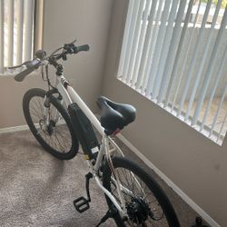 colorway ebike 