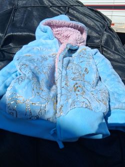 Disney's princess jacket