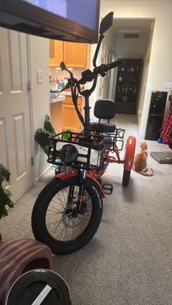 MoonCool Electric Bike