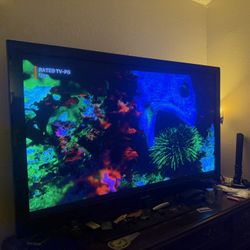 65 Inch Samsung TV