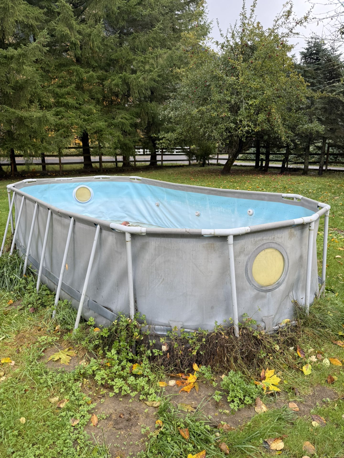 Free Pool And Trampoline